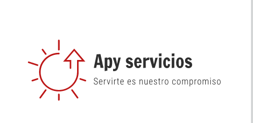 Punto Inventario Apy Servicios