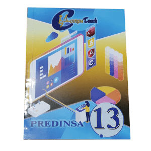 Computación No.13