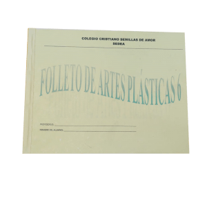 Artes Plásticas No.6